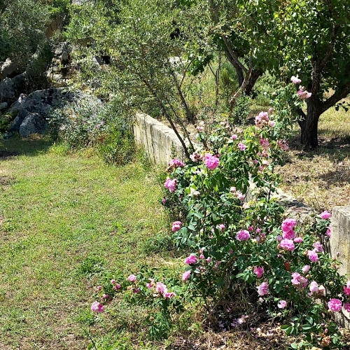 Le Querce Baja Sardinia 