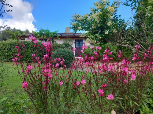 Le Querce-esterno Casa Verde