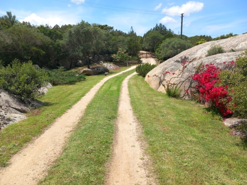 Le Querce Baja Sardinia 