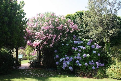 Casa verde-esterno giardino